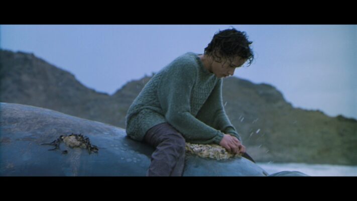 Whale Rider – Filmstill