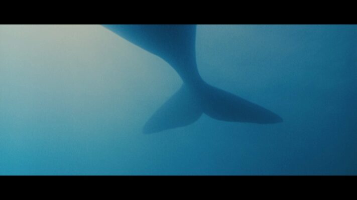 Whale Rider – Filmstill